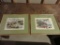 Pair Of Two Barbados Watercolors - B