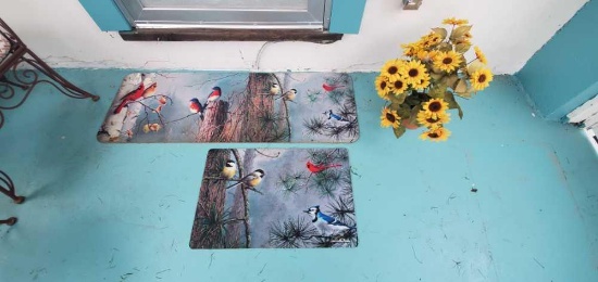 Pair of bird door mats & potted Sunflower