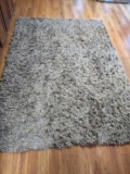 K- Shag Area Rug