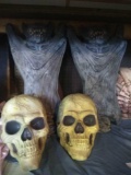 G- Halloween Skulls & Bats