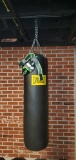 B- Everlast 100 lb. Punching Bag with Gloves