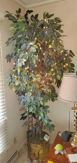 FR- 7' Natural Bark Ficus Tree With Lights