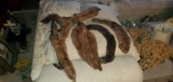 HC- Lot of (4) Mink Collars & Scarfs