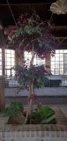 A- ALL Artificial Trees and Greenery in Atrium Area