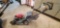 Honda GVC 190 Mower