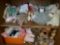 KR- Cupboard full dolls, doll clothes, stuffed animals