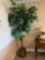 MB- Artificial Ficus Tree