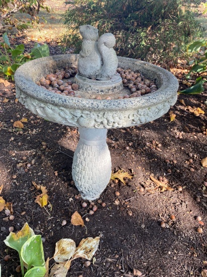 O- Bird Bath, Mushrooms