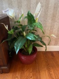 F- Artificial Peace Lily