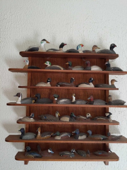 B2- Wm. J. Koelpin Ducks on Shelf