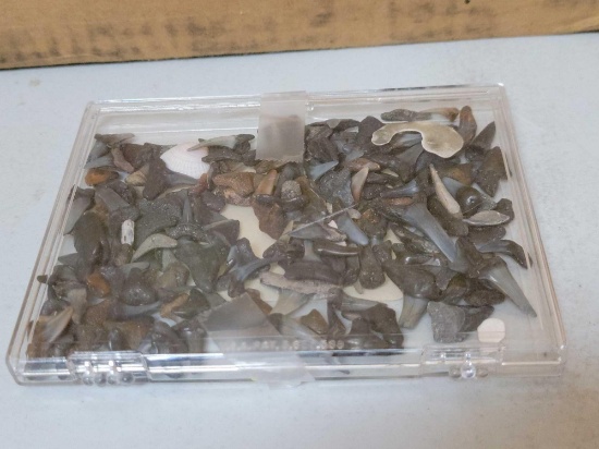 LR- Large Lot of Sharks Teeth