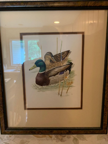 K- Pair of Duck Prints