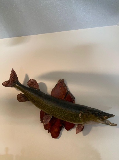 UB3- Mounted Northern Pike