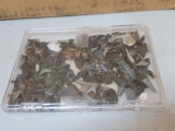 LR- Large Lot of Sharks Teeth