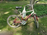 OG- Diamondback Wildwood Bicycle