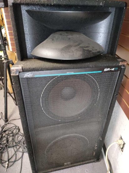 G- Peavey SP-4 TI Speaker