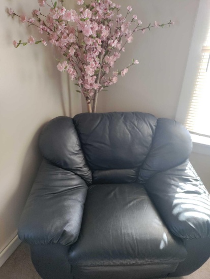 HU-Chair and Plant