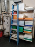 H- Werner 8' Ladder