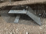 B- Live Animal Trap