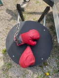 O- Everlast Hanging Boxing Board With MacGregor Boxing Glove