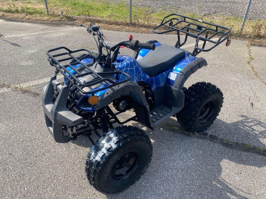 2021 Blue Taotao Motorcycle