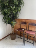 Student Lounge- Faux Tree and (2) Bar Stool