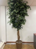 Room 102- Faux Tree