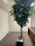 Room 206- Faux Tree and Basics Paper Shredder