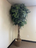 Room 209- Faux Tree