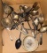 LR- Lot of Silver-Plate Silverware and Serving Items