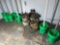 B- Buckets, Burlap Growing Pouches and Trays, Water Pumps, Water Containers