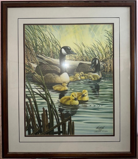 B- Harold Roe Framed Print