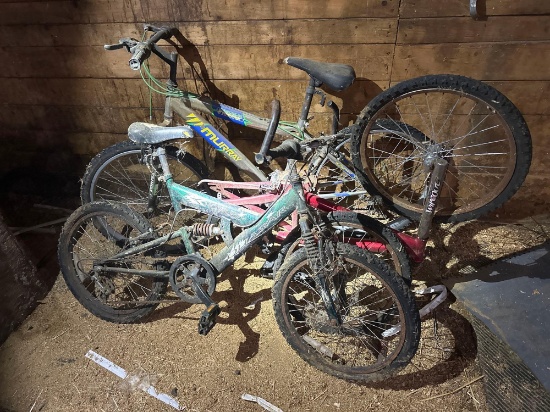 BG- (3) Bicycles