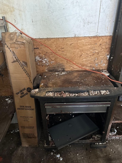 FG- Project Center Work Cart and Fluorescent Lamps