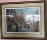 B- Harold Roe Framed Print