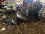 BG- (2) Large Dog Cages and Live Animal Trap
