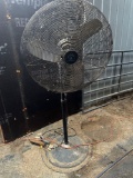 BG- Large Fan