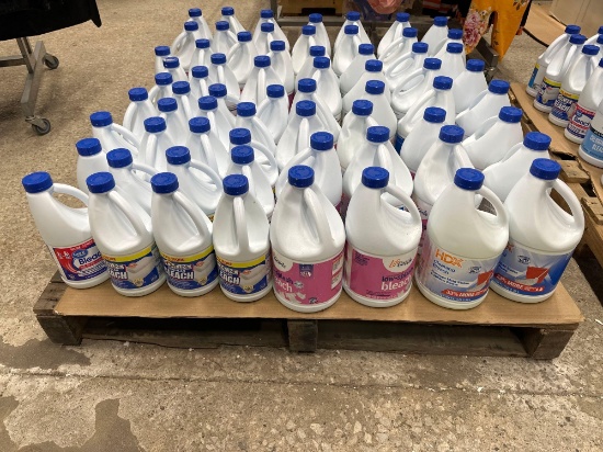 (66) Bottles of Bleach