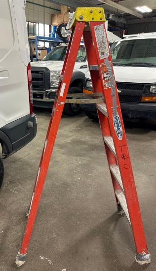 Werner 6' Aluminum / Fiberglass Ladder