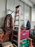 Werner 10' Ladder