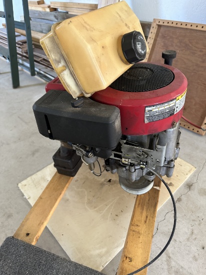 Briggs & Stratton Engine