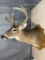8 point white tail shoulder mount