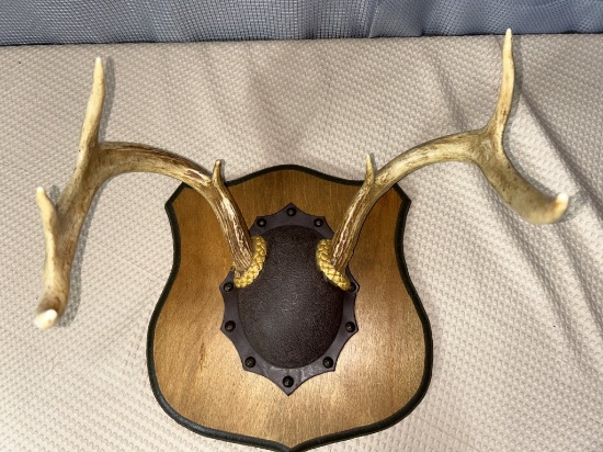 7 point horn mount