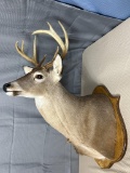 8 point shoulder mount