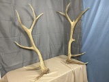 Elk shed set