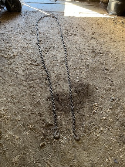 16ft Chain with Hooks