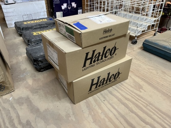 Qty of Flood Light Bulbs and Ballasts