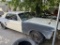 60's Model Mustang