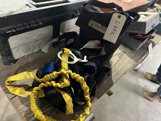 Pair of Harnesses