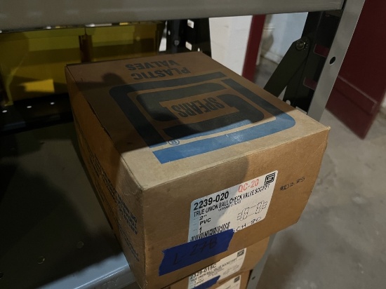 2" PVC True Union Ball Check Valve